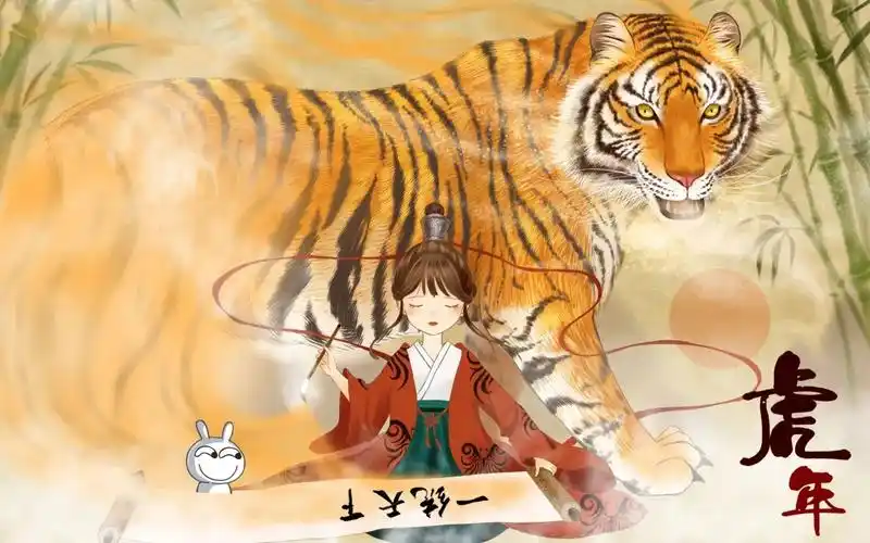 2025年国产剧高分作品幕后数据解读