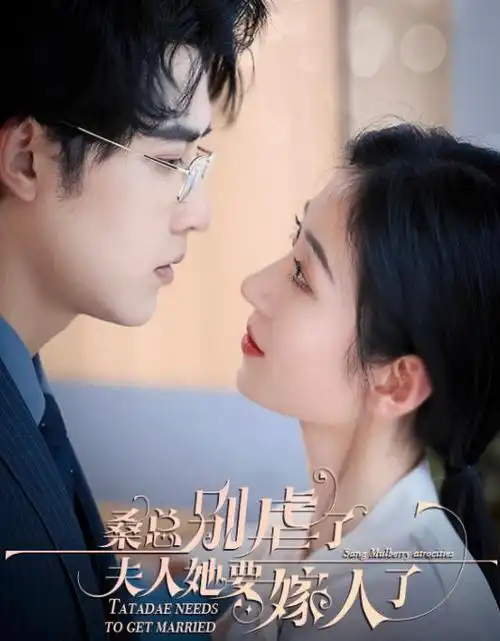 尘世烟火 热播电视剧全集免费在线观看